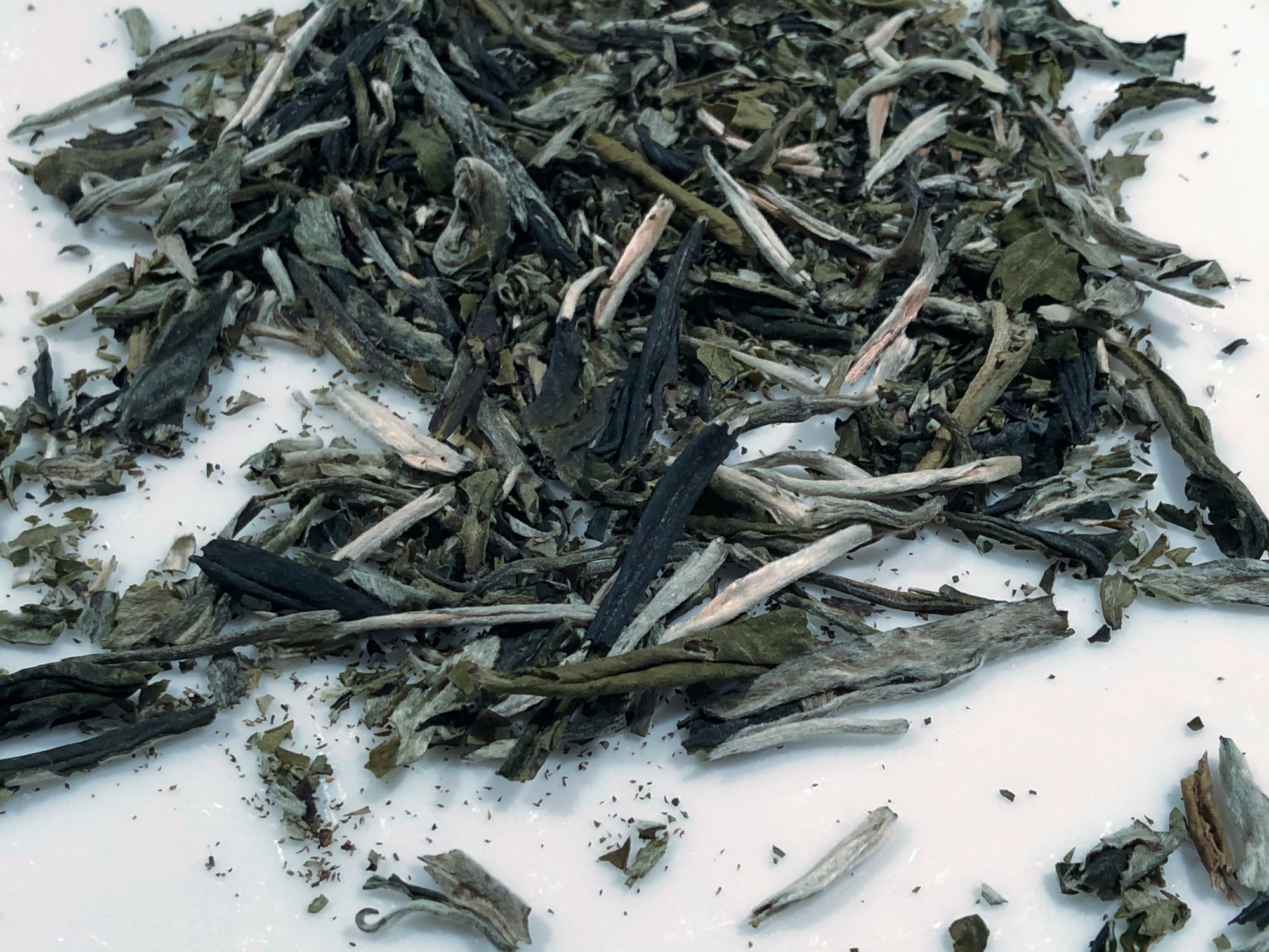 China White Tea Pine Needles -teetä